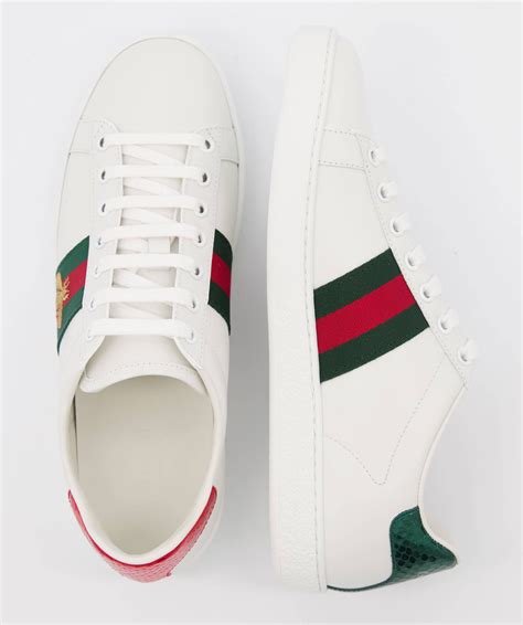 gucci sneaker damen bunt